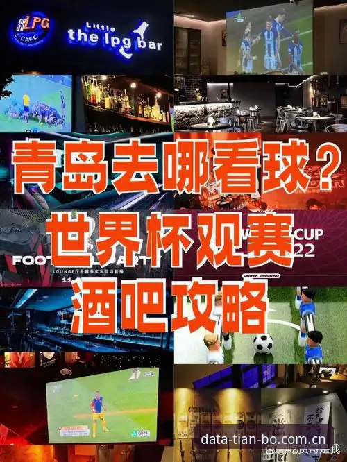 资深用户深度评测：天博体育平台看世界杯，签证危机如何搅动观赛体验？